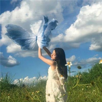 狮子彻夜未眠