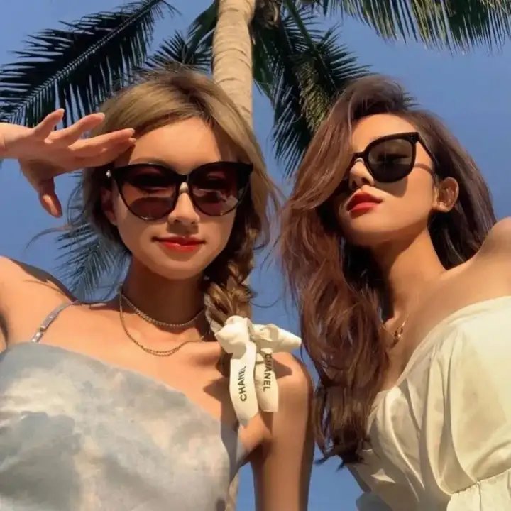 挎斗摩托车里的狗